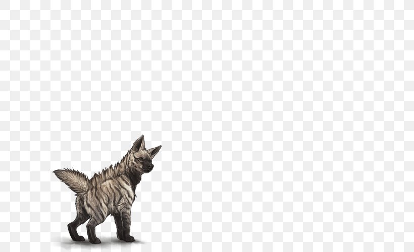 Maltese Dog Felidae Cat Striped Hyena, PNG, 640x500px, Maltese Dog, Animal, Canidae, Carnivora, Carnivoran Download Free