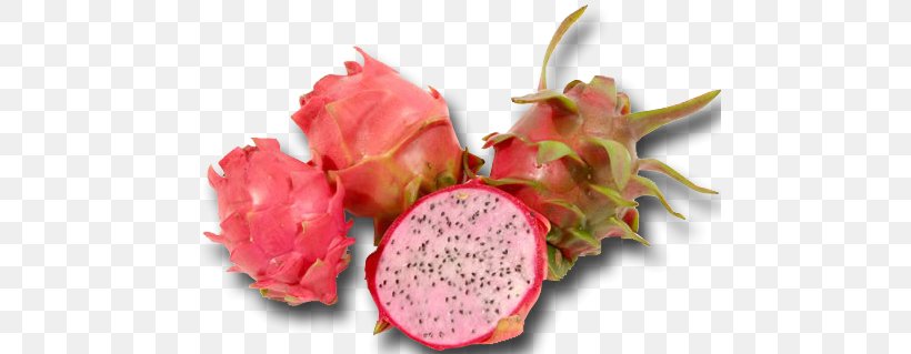 Pitaya White-fleshed Pitahaya Fruit Auglis Vegetable, PNG, 479x319px, Pitaya, Auglis, Color, David Bowie, Dragonfruit Download Free