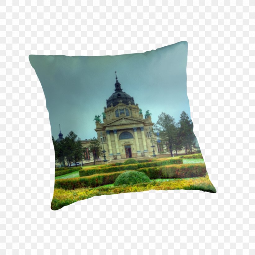 Széchenyi Thermal Bath Throw Pillows Cushion Spa, PNG, 875x875px, Throw Pillows, Cushion, Grass, Spa, Throw Pillow Download Free
