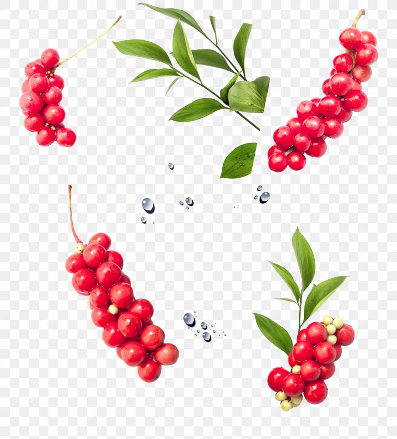 Frutti Di Bosco Juice Lingonberry Cranberry Zante Currant, PNG, 1324x1463px, Frutti Di Bosco, Aquifoliaceae, Auglis, Berry, Cherry Download Free