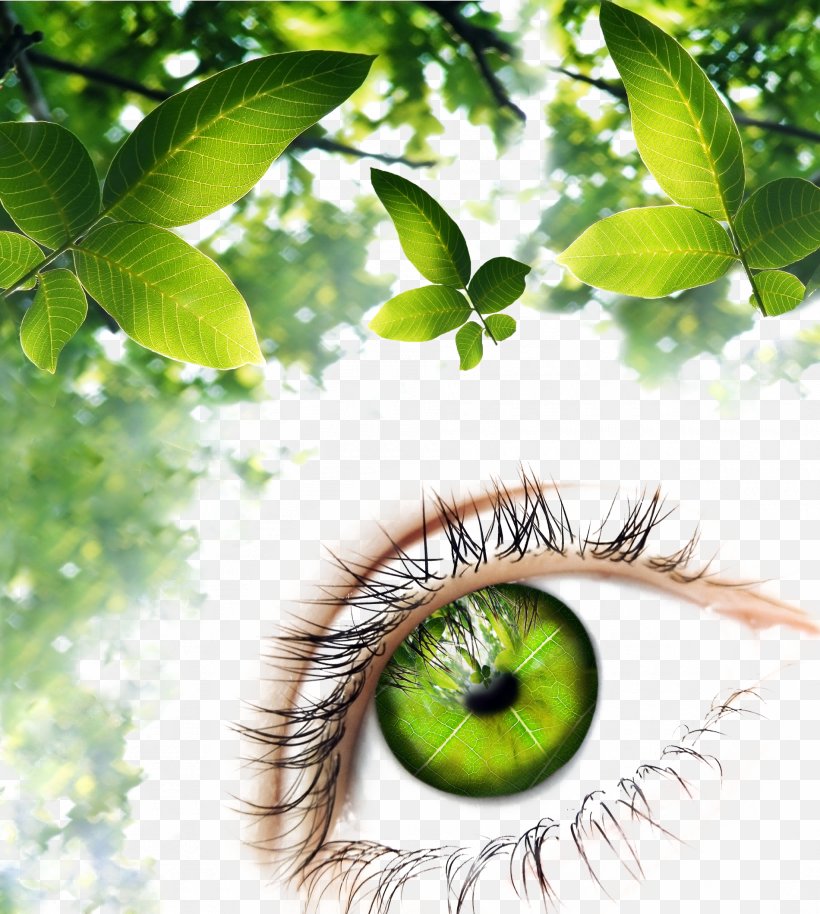 Human Eye Green Illustration, PNG, 1900x2120px, Human Eye, Art, Deviantart, Eye, Eyelash Download Free