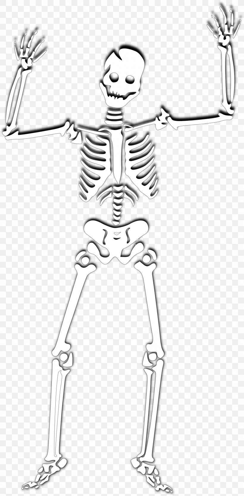 Human Skeleton Skull Clip Art, PNG, 1574x3200px, Watercolor, Cartoon, Flower, Frame, Heart Download Free