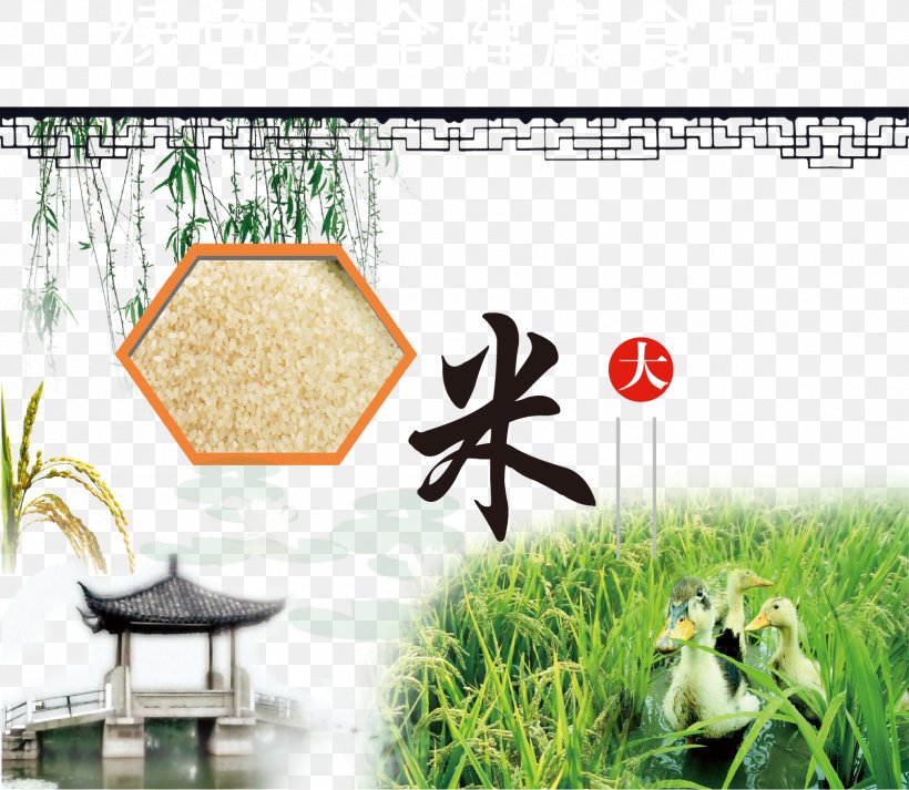 Rice, PNG, 1604x1396px, Rice, Designer, Grass, Interior Design, Packaging And Labeling Download Free