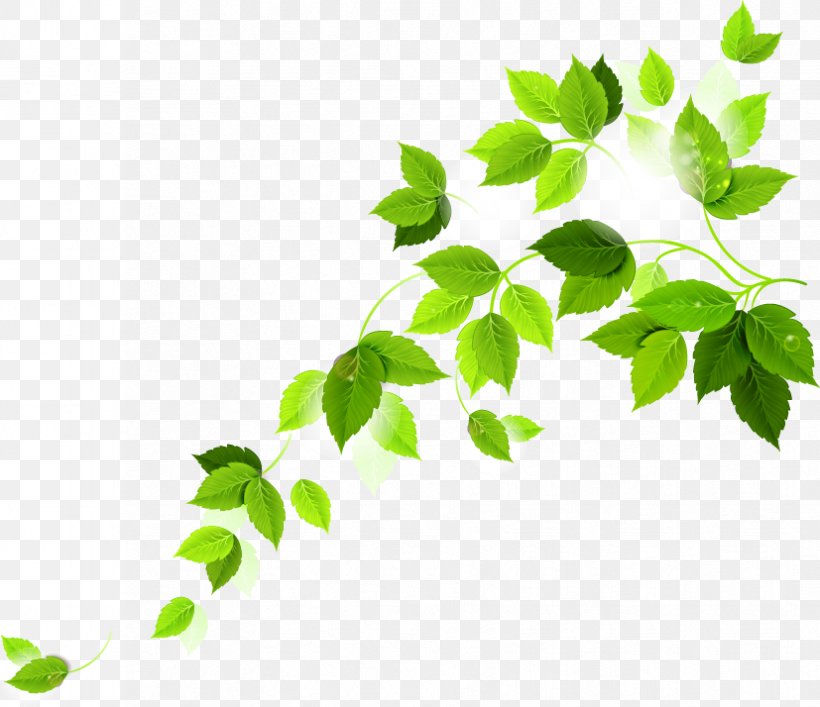 Vector Graphics Stock Photography Illustration Image Shutterstock, PNG, 827x714px, Stock Photography, Branch, Car, Elm327, Grass Download Free