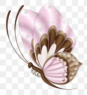Butterfly - Butterfly Drawing Clip Art PNG