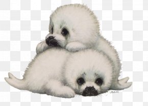 Dog - Companion Dog Animaatio Earless Seal PNG