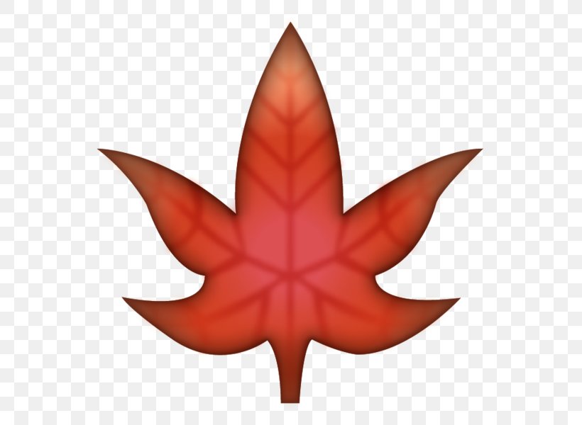 Emoji Maple Leaf Canada, PNG, 582x600px, Emoji, Android, Canada, Emojipedia, Flag Of Canada Download Free