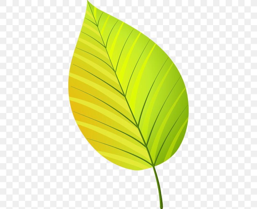 Green Leaf, PNG, 384x666px, Green, Artworks, Autumn, Autumn Leaf Color, Banana Leaf Download Free