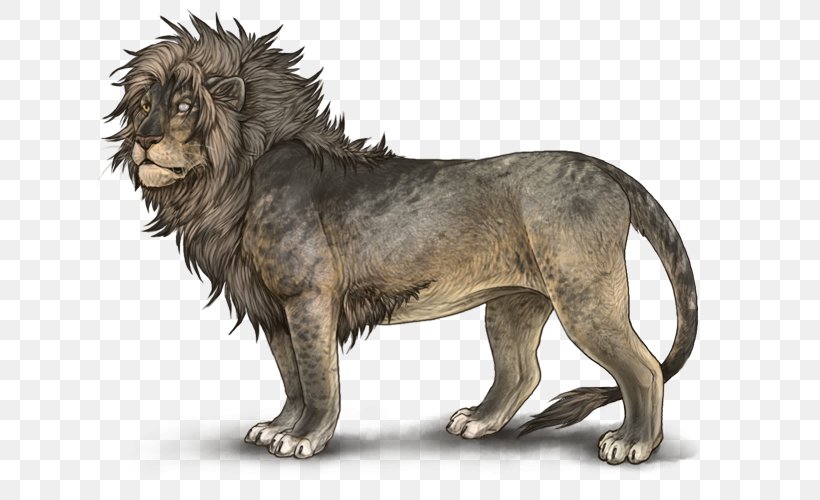 Lionhead Rabbit Hyena Cougar Siamese Cat, PNG, 640x500px, Lion, Big Cat, Big Cats, Breed, Carnivora Download Free