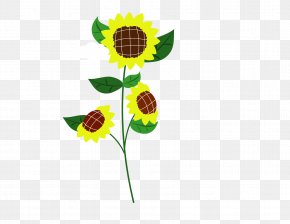 Sunflower - Common Sunflower Child PNG