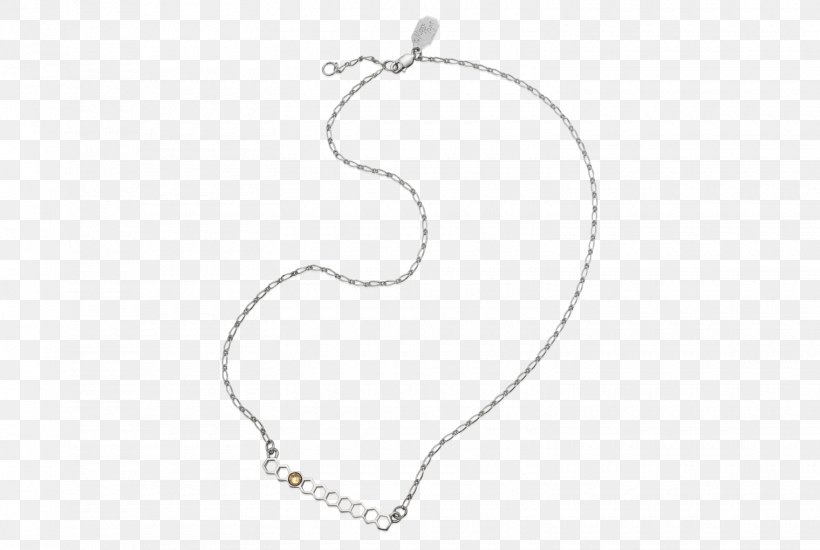 Necklace Charms & Pendants Body Jewellery Chain, PNG, 1520x1020px, Necklace, Body Jewellery, Body Jewelry, Chain, Charms Pendants Download Free