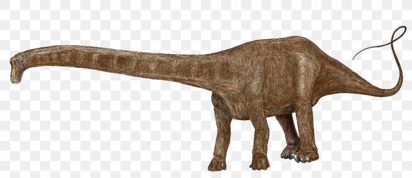 Plateosaurus Dinosaur Size Seismosaurus Apatosaurus, PNG, 2120x916px, Plateosaurus, Animal Figure, Apatosaurus, Brontosaurus, Dinosaur Download Free