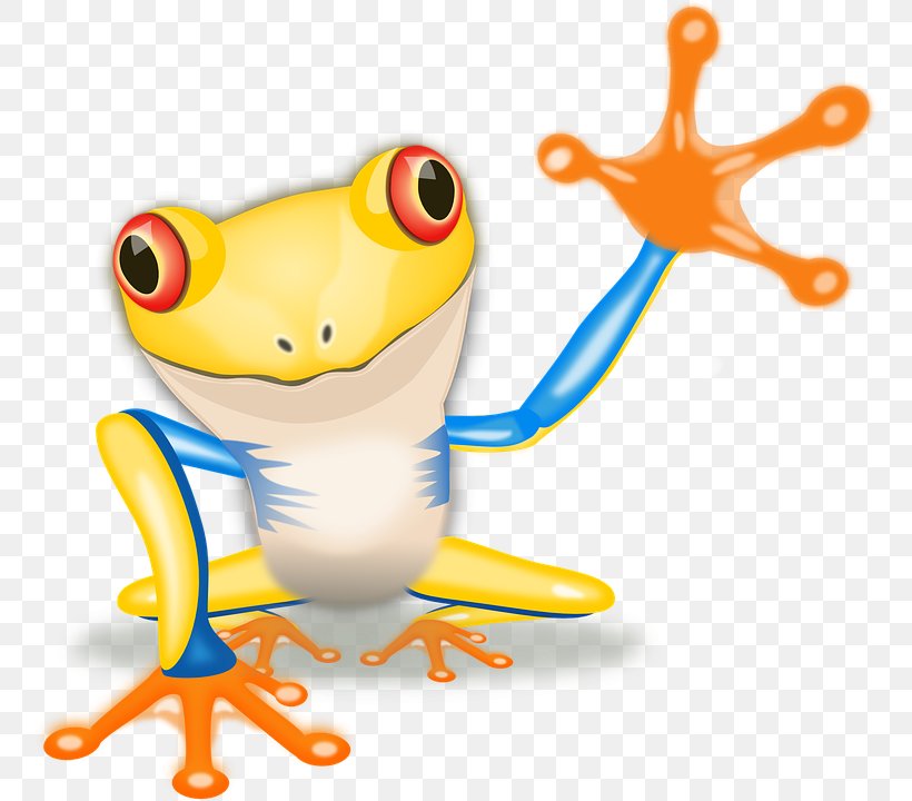 Red-eyed Tree Frog Australian Green Tree Frog Clip Art, PNG, 759x720px, Frog, American Green Tree Frog, Amphibian, Animal, Australian Green Tree Frog Download Free