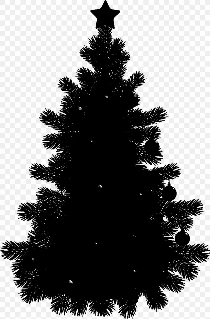 Clip Art +Black Pine Tree Openclipart +Black Pine Tree, PNG, 1000x1520px, Pine, American Larch, Balsam Fir, Black, Blackandwhite Download Free