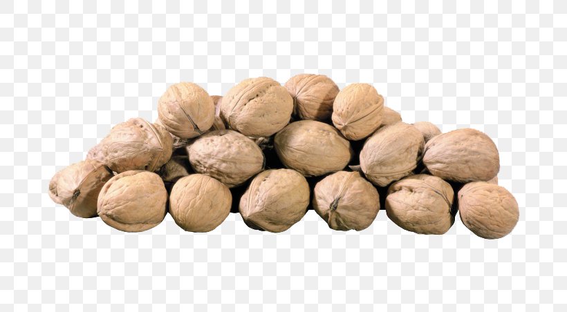 English Walnut Hazelnut Peanut Pistacia, PNG, 760x452px, Nut, Acorn, Almond, Cashew, English Walnut Download Free