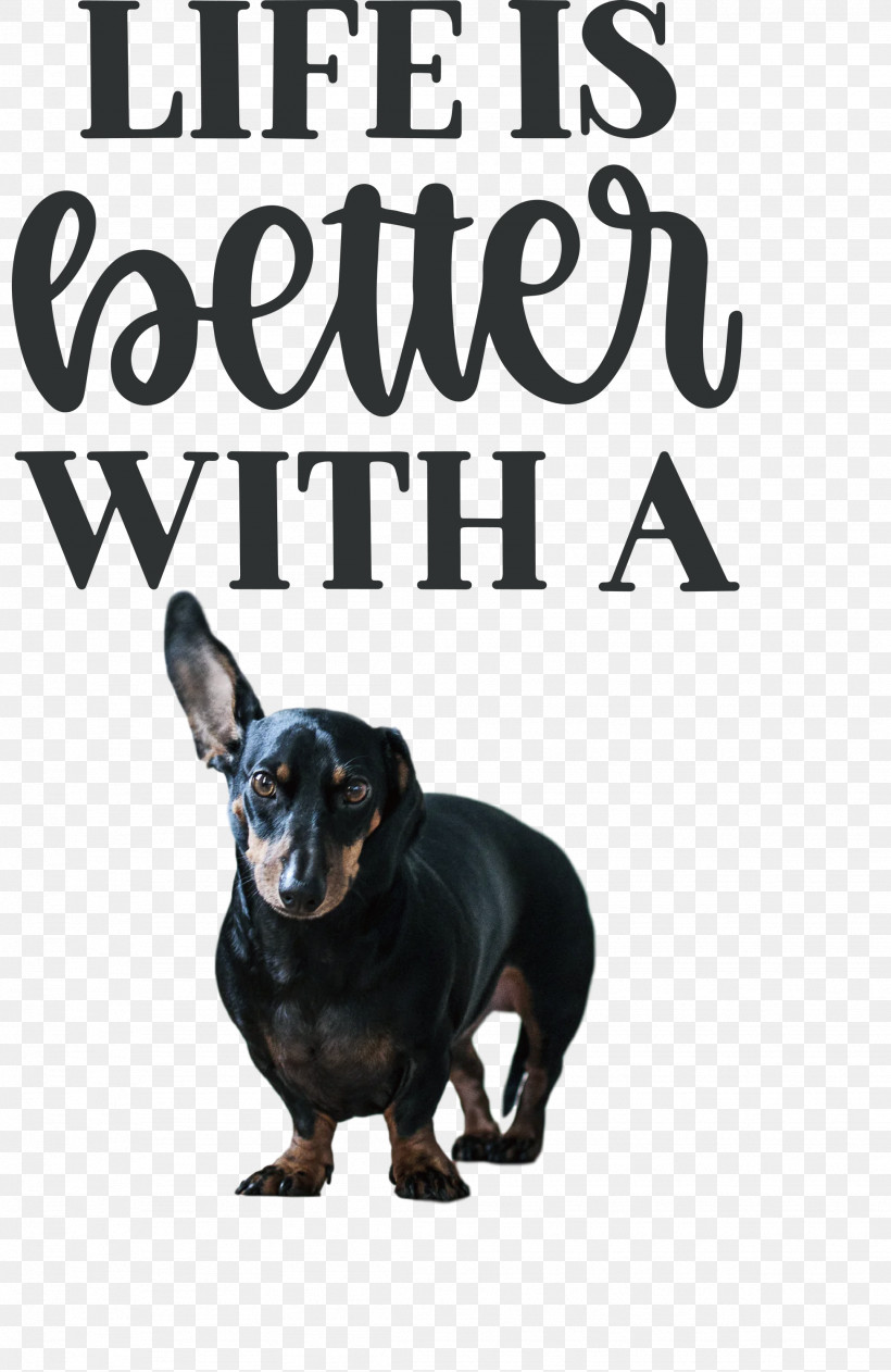 Life Better, PNG, 1948x3000px, Life, Better, Biology, Breed, Dog Download Free