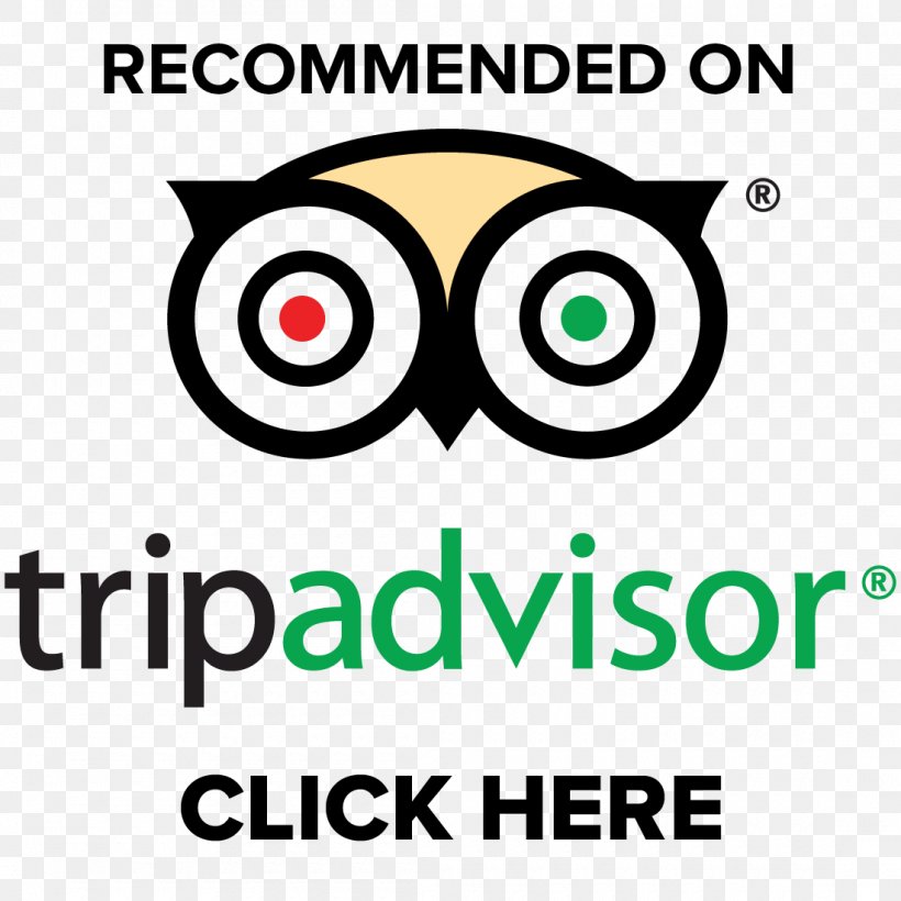 TripAdvisor Hotel Travel Bed And Breakfast Vacation, PNG, 1100x1100px, Tripadvisor, Area, Artwork, Beak, Bed And Breakfast Download Free