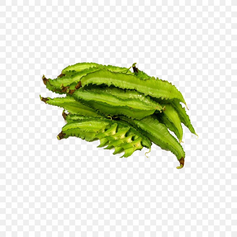 Winged Bean Leaf Vegetable Edamame, PNG, 2048x2048px, Winged Bean, Adzuki Bean, Bean, Canning, Dried Fruit Download Free