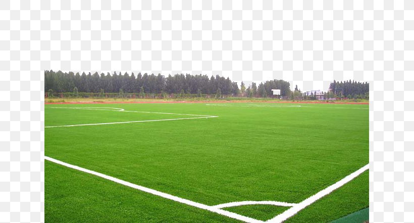 Lawn Football Pitch Artificial Turf, PNG, 643x442px, Lawn, Allweather Running Track, Artificial Turf, Ball, Basketball Court Download Free