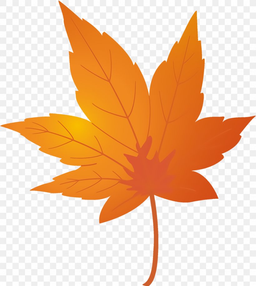 Maple Leaf Autumn Leaf Yellow Leaf, PNG, 920x1026px, Maple Leaf, Autumn Leaf, Leaf, Maple, Orange Download Free