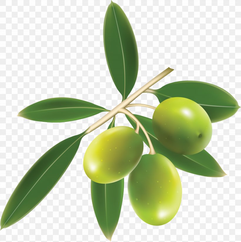 Olive Oil Mediterranean Cuisine, PNG, 5337x5369px, Mediterranean Cuisine, Food, Fruit, Image File Formats, Oil Download Free