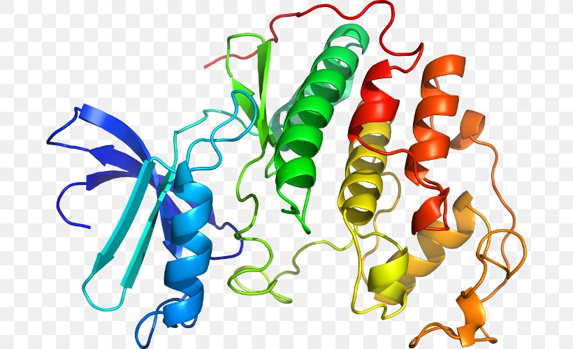 SRPK1 Serine/arginine-rich Splicing Factor 1 SR Protein, PNG, 688x500px, Sr Protein, Alternative Splicing, Artwork, Enzyme, Food Download Free