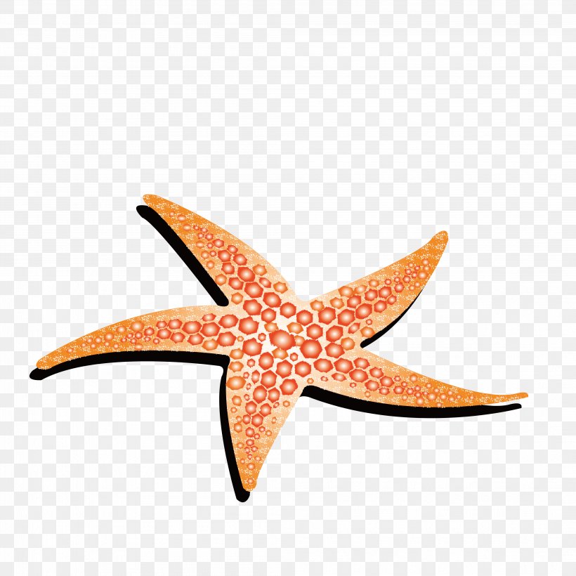 Starfish Animation, PNG, 4214x4214px, Starfish, Animation, Cartoon, Dessin Animxe9, Drawing Download Free