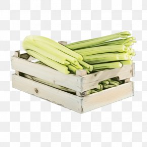 Plant Food - Vegetable Cartoon PNG