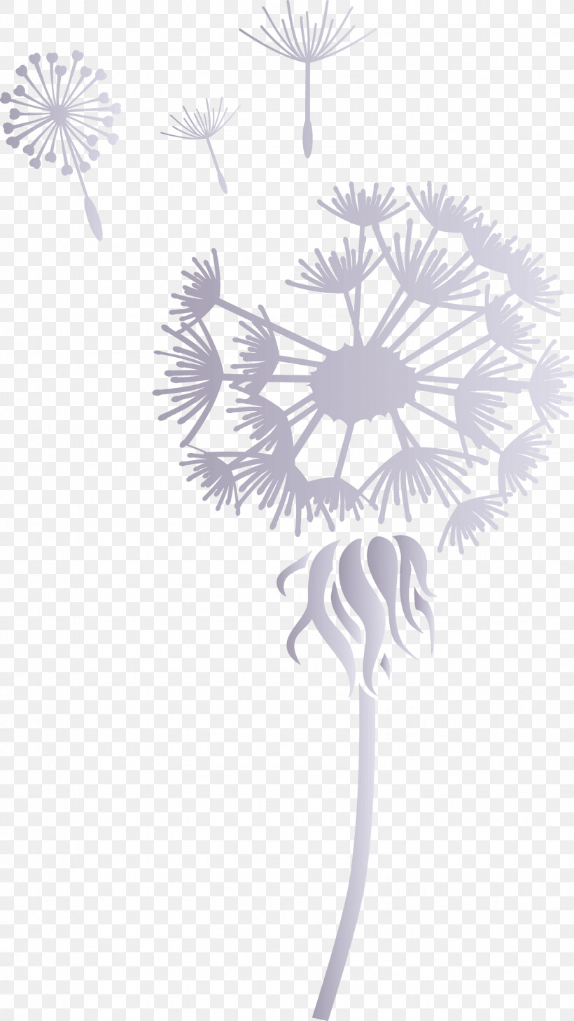 Dandelion, PNG, 1687x3000px, Dandelion, Chrysanthemum, Drawing, Flower, Leaf Download Free