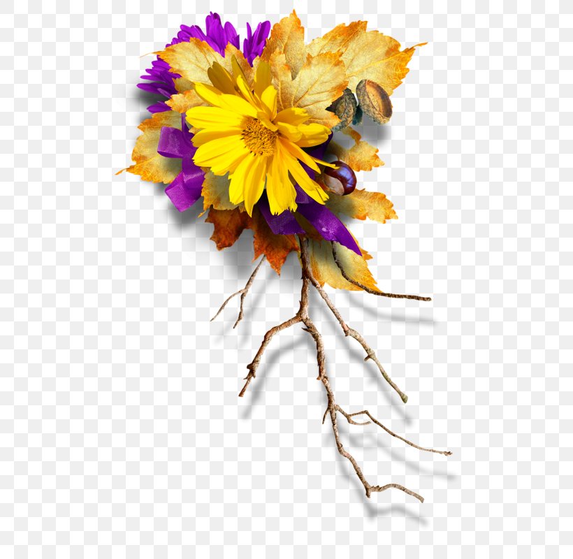 Flower Petal Floral Design, PNG, 520x800px, Flower, Branch, Chrysanthemum, Chrysanths, Color Download Free