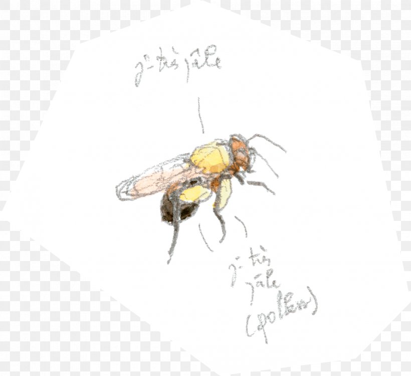 Honey Bee, PNG, 1225x1120px, Honey Bee, Arthropod, Bee, Fly, Honey Download Free