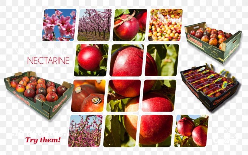 Apple Vegetarian Cuisine Nectarine Food Cosanse, PNG, 960x600px, Apple, Apricot, Cherry, Diet Food, Food Download Free