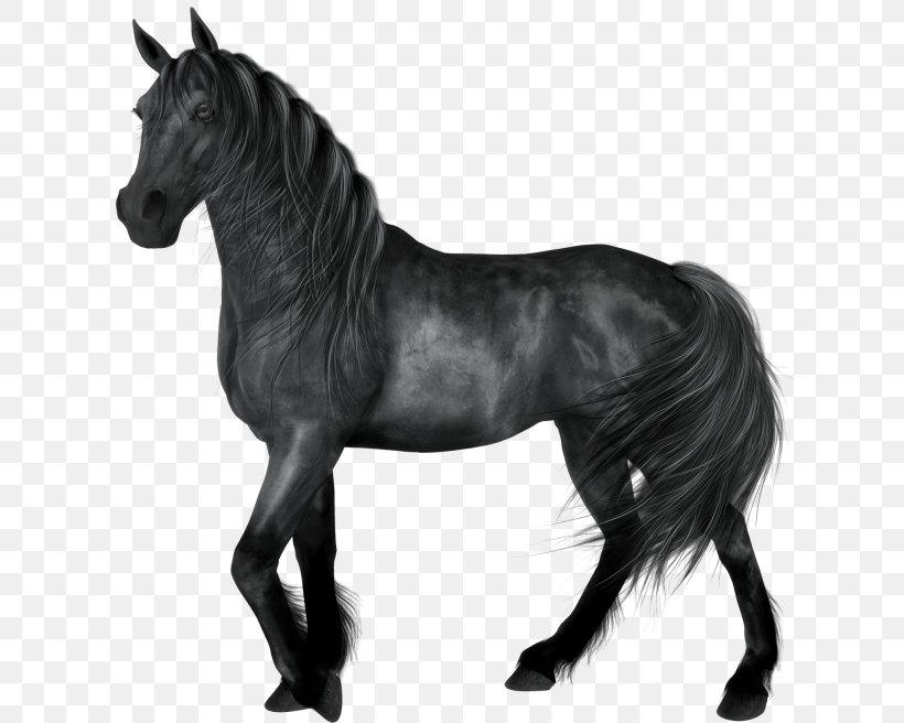 Horse Black Clip Art, PNG, 625x656px, American Quarter Horse, Animal, Black, Black And White, Bridle Download Free