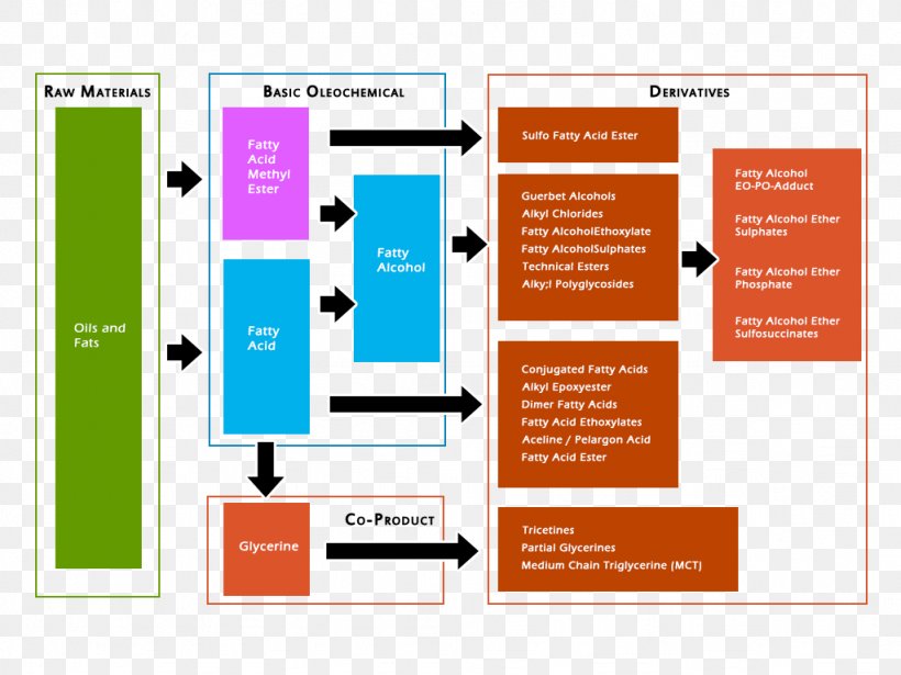 Oleochemical Manufacturing Process Production, PNG, 1024x768px, Oleochemical, Brand, Chemical Industry, Communication, Diagram Download Free