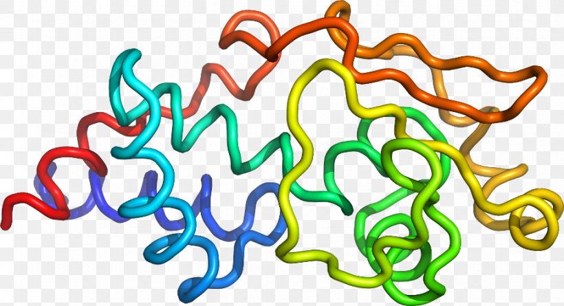 Organism Line Clip Art, PNG, 921x500px, Organism, Area, Text Download Free