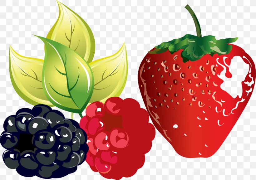 Raspberry Fruit Clip Art, PNG, 904x637px, Berry, Accessory Fruit, Auglis, Blackberry, Diet Food Download Free