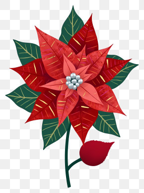 Christmas Poinsettia Flowers - Festive Poinsettia Flower PNG