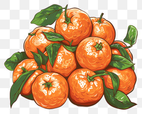 Tangerines - Vibrant Pile Of Orange Citrus Fruits PNG