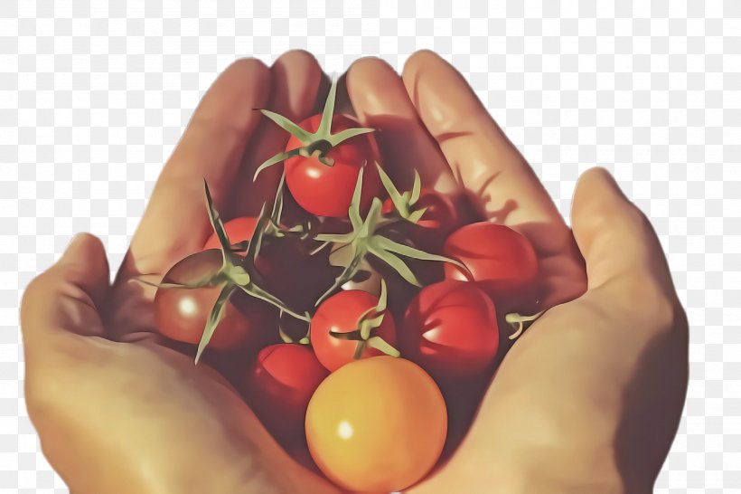 Tomato, PNG, 2000x1332px, Natural Foods, Food, Fruit, Hand, Plant Download Free