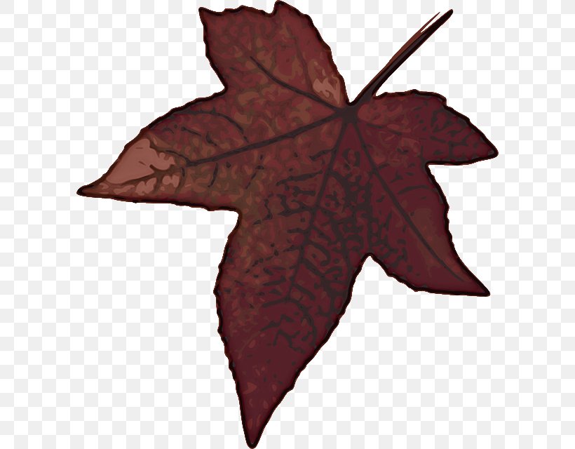 Maple Leaf, PNG, 602x640px, Leaf, Black Maple, Deciduous, Flower, Maple Leaf Download Free