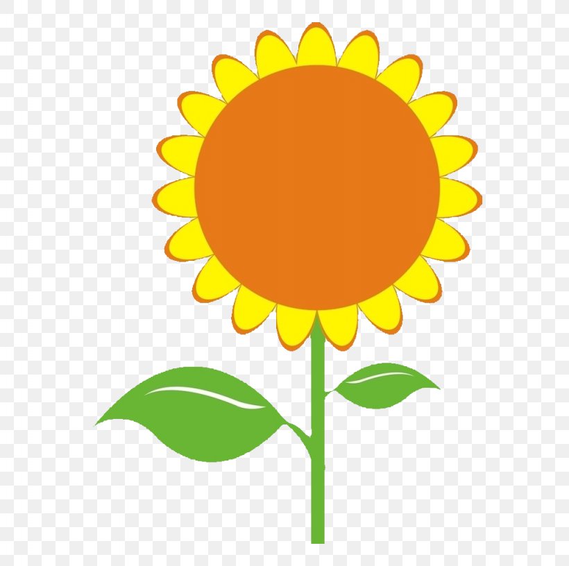Common Sunflower Sunflower Seed Illustration, PNG, 1024x1020px, Common Sunflower, Cartoon, Coreldraw, Daisy Family, Element Download Free