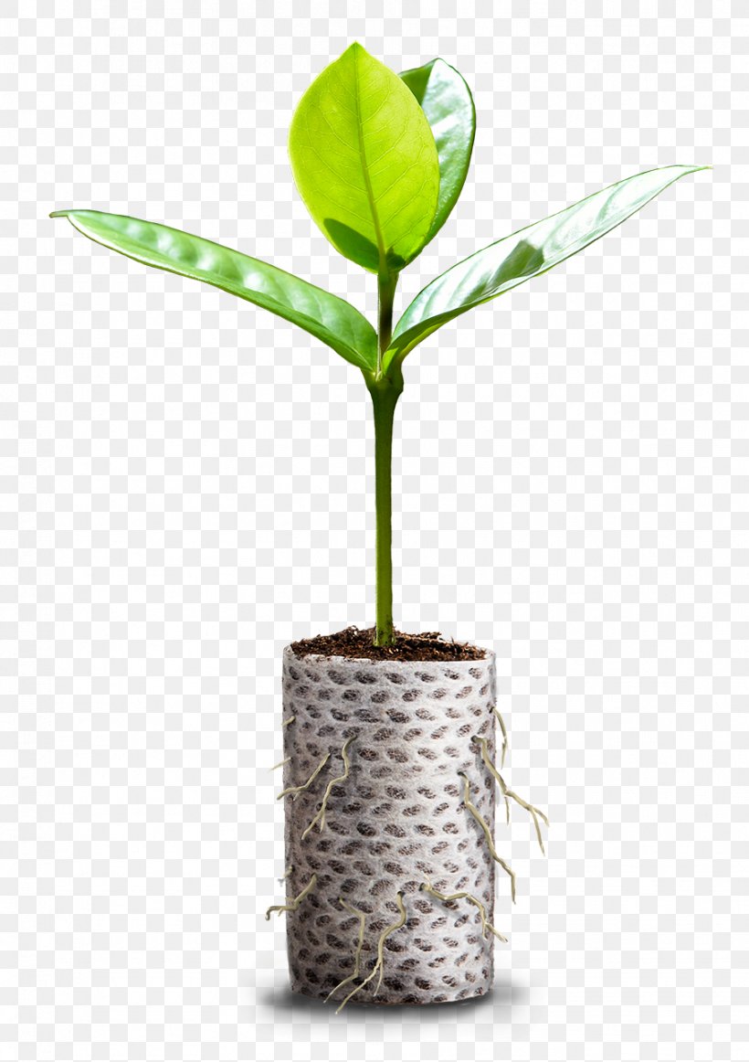 Paper Plastic Bag Container Forestry Production, PNG, 907x1286px, Paper, Agriculture, Bag, Biodegradation, Centre De Production Download Free