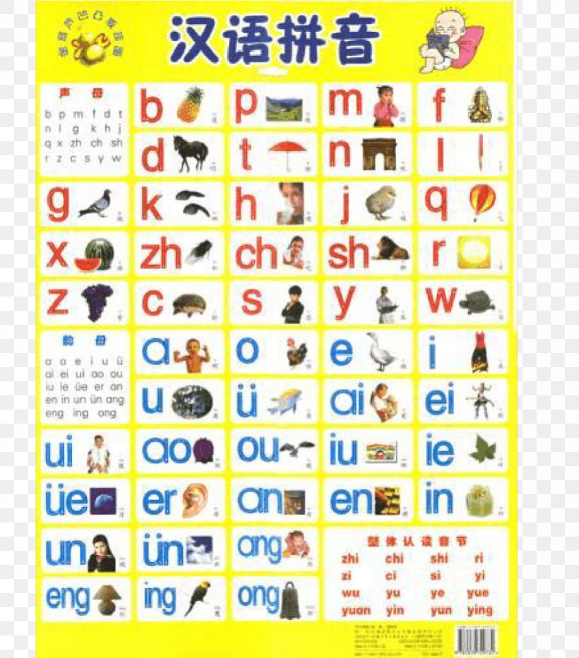 pinyin-syllable-onset-standard-chinese-alphabet-png-893x1015px-pinyin-alphabet-alphabet