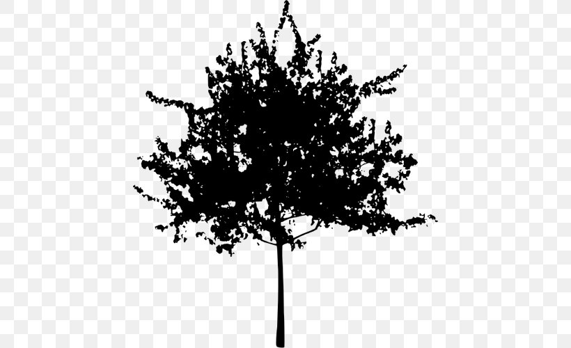 Tree Silhouette Clip Art, PNG, 438x500px, Tree, Art, Black And White, Branch, Flowering Plant Download Free