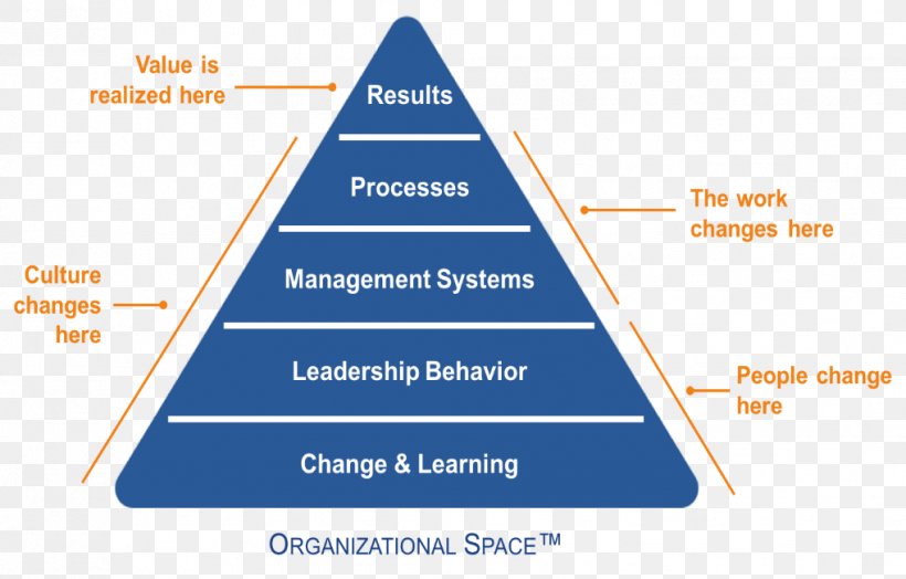 Organizational Culture Health Care System Change Management, PNG, 1019x652px, Organization, Area, Brand, Change Management, Culture Download Free