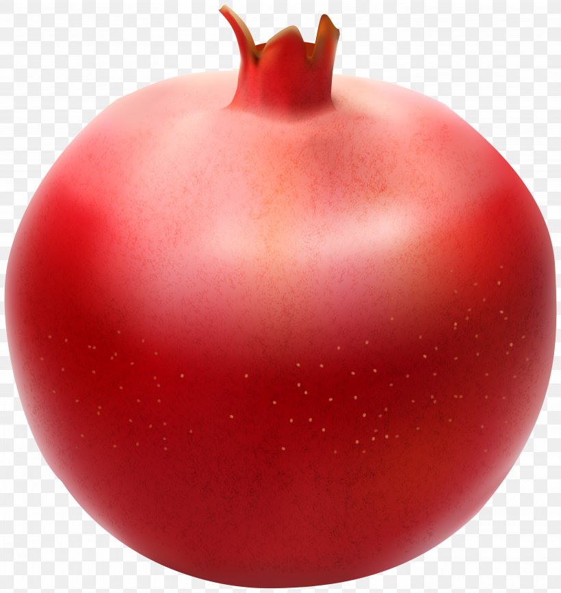 Pomegranate Plum Tomato Fruit Clip Art, PNG, 5681x6000px, Pomegranate, Apple, Blog, Christmas Ornament, Drawing Download Free