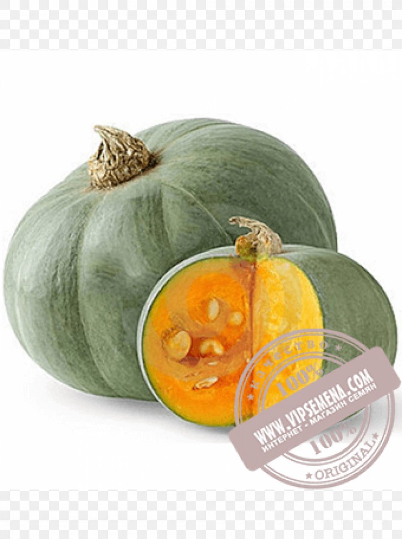 Crookneck Pumpkin Cucurbita Maxima Cultivar Seed Auglis, PNG, 1000x1340px, Crookneck Pumpkin, Auglis, Big Max, Calabaza, Commodity Download Free