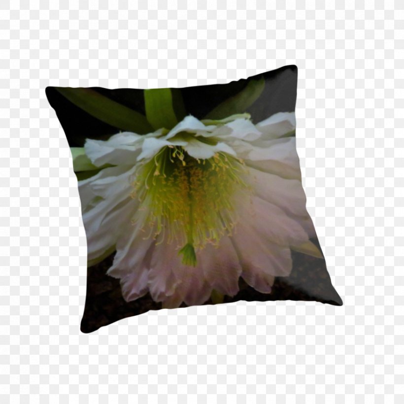 Cushion Throw Pillows, PNG, 875x875px, Cushion, Flower, Flowering Plant, Petal, Throw Pillow Download Free