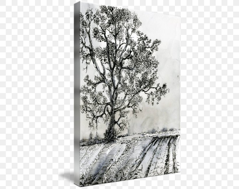 Drawing Painting Ink Birch, PNG, 429x650px, Drawing, Art, Artwork, Autumn, Birch Download Free