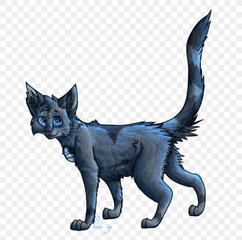 Korat Devon Rex Whiskers Kitten Manx Cat, PNG, 900x893px, Korat, Black Cat, Breed, Carnivoran, Cat Download Free